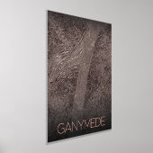 宇宙、宇宙、システ太陽のム、ムーンゲニメデ 箔ポスター (レイダウン)