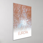 宇宙，宇宙，システ太陽のム，ムーンヨーロッパ 箔ポスター (レイダウン)