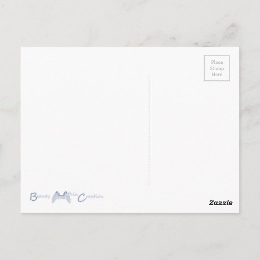 守護天使 ポストカード (裏面)