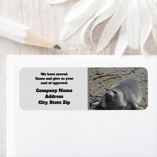 安価な私たちはビジネス発表を動かした ラベル (インサイチュ)