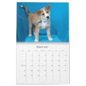 安全な手の救助2015のカレンダー カレンダー (3月 2027)