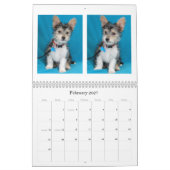 安全な手の救助2015のカレンダー カレンダー (2月 2027)