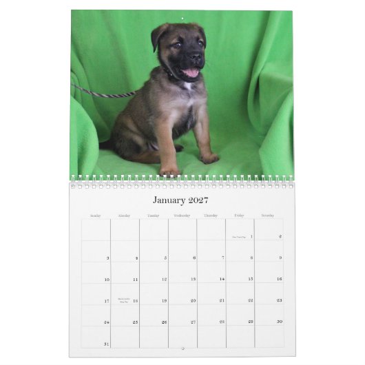 安全な手の救助2015のカレンダー カレンダー (1月 2027)