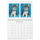 安全な手の救助2015のカレンダー カレンダー (2月 2026)