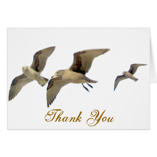 安全な旅行_ (正面横)