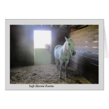 安全な避難所の農場の残りの馬