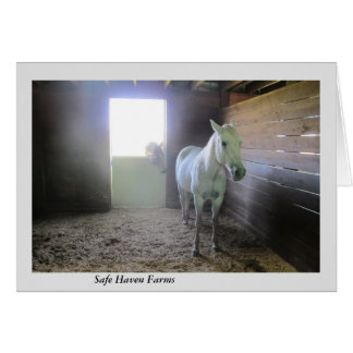 安全な避難所の農場の残りの馬