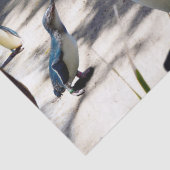 安全な避難所：妖精ペンギン天国 薄葉紙 (詳細)