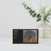 安全を恐れる 名刺 (スタンド正面)