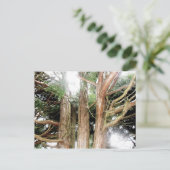 安全性が見つかる ポストカード (スタンド正面)