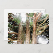 安全性が見つかる ポストカード (正面/裏面)