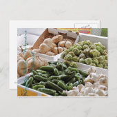 安全港農家市場 ポストカード (正面/裏面)
