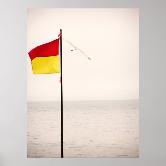 安全飛行用ポスター ポスター (正面)