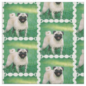 安定させたパグ ファブリック (見本)