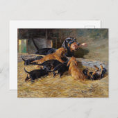 安定したハーミンリーダーで子犬とダックスフント ポストカード (正面/裏面)