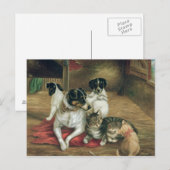 安定した友人 ポストカード (正面/裏面)