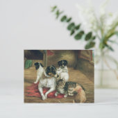 安定した友人 ポストカード (スタンド正面)