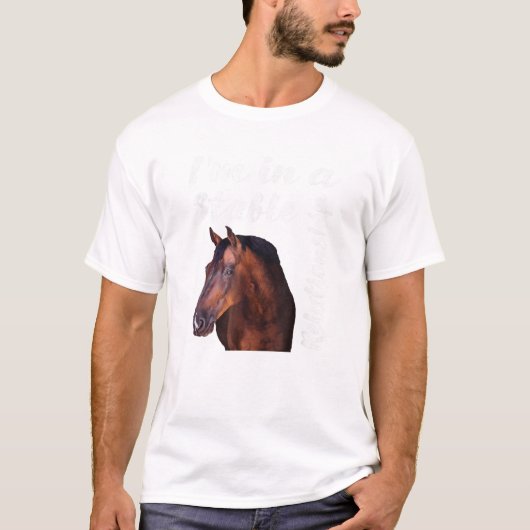 安定した関係です Tシャツ (正面)