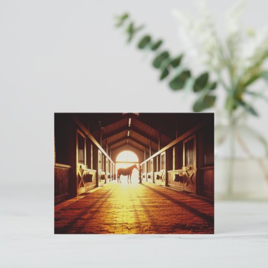 安定した ポストカード (スタンド正面)