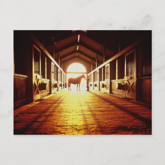 安定した ポストカード