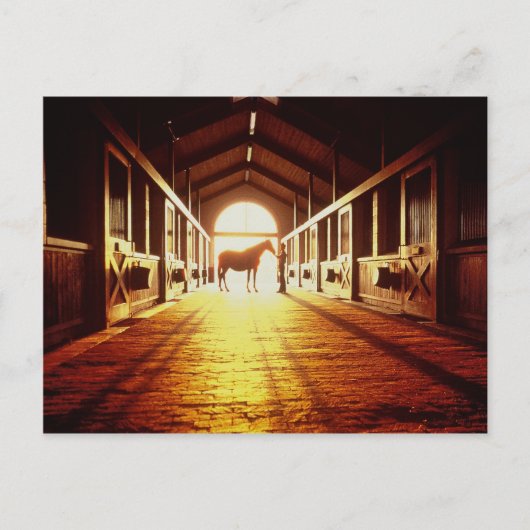 安定した ポストカード (正面)