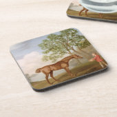 安定若者が付いているジョージStubbs |のカボチャ、1774年(o コースター (左側)