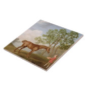 安定若者が付いているジョージStubbs |のカボチャ、1774年(o タイル (側面)