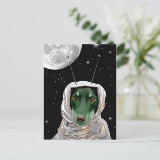 安来心した ポストカード (スタンド正面)