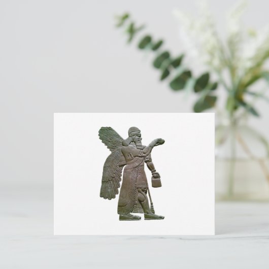 安沼木 ポストカード (スタンド正面)