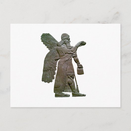 安沼木 ポストカード (正面)