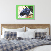 安静動物のチンパンジー キャンバスプリント (インサイチュ (寝室))