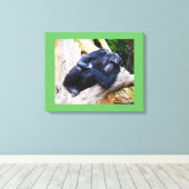 安静動物のチンパンジー キャンバスプリント (インサイチュ (ウッドフロア))