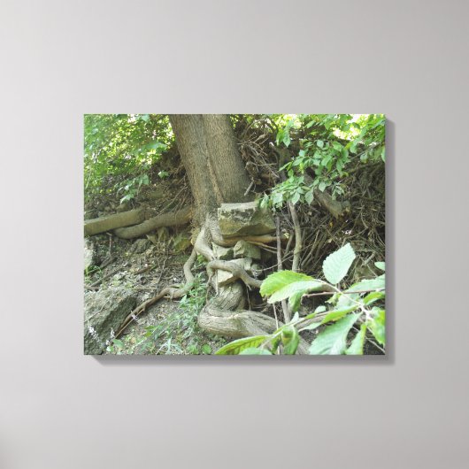 安静岩 キャンバスプリント (正面)