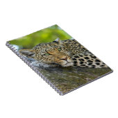 安静性ヒョウ ノートブック (右側)