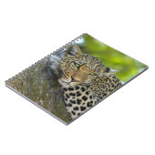 安静性ヒョウ ノートブック (左側)