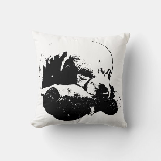 安静時のいたずら クッション (正面)