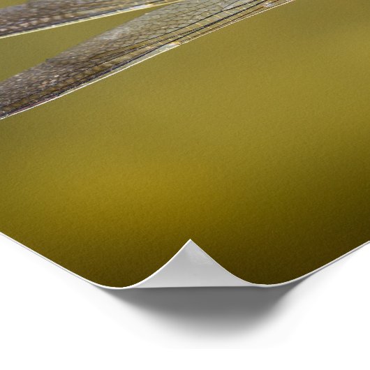 安静時のトンボ ポスター (角)