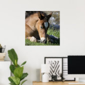 安静時の野生のポニー ポスター (ホームオフィス)