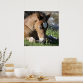 安静時の野生のポニー ポスター (キッチン)