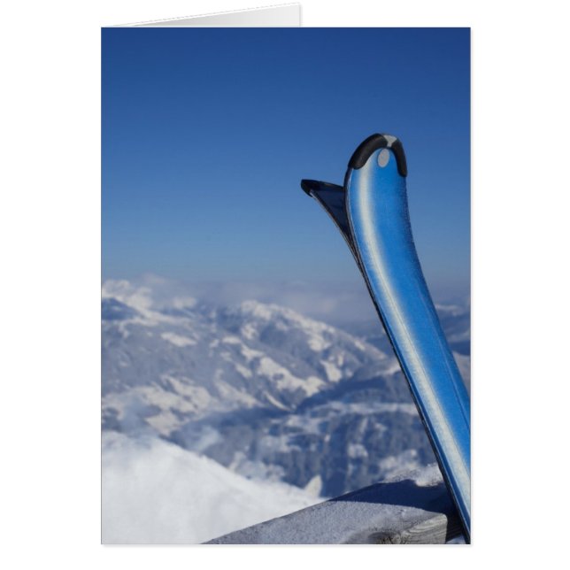 安静時スキー (正面)