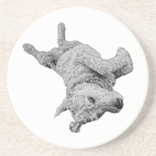 安静時ユーモア コースター (正面)