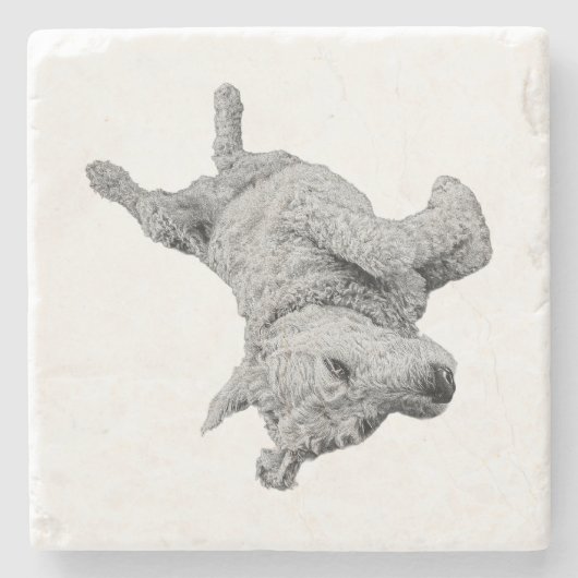 安静時ユーモア ストーンコースター (正面)