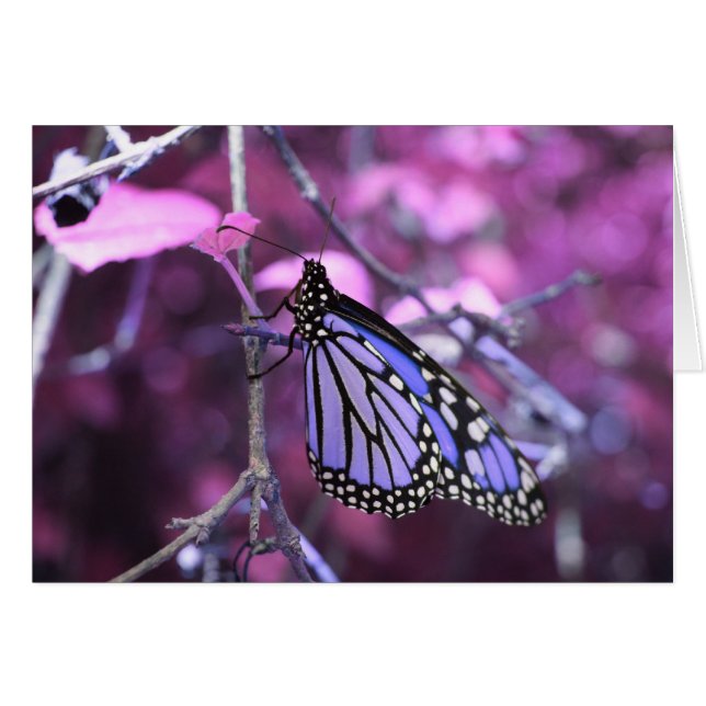 安静時 (正面横)