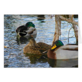 安静時 (正面横)