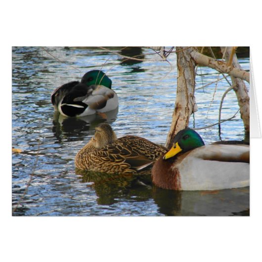 安静時 (正面横)