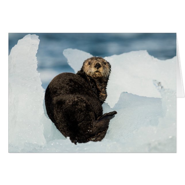 安静海船 (正面横)