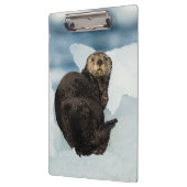 安静海船 クリップボード (左)