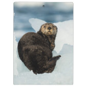 安静海船 クリップボード (裏面)