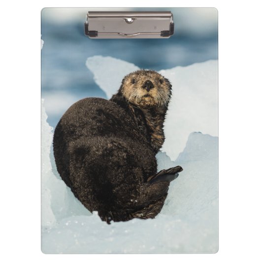 安静海船 クリップボード (正面)