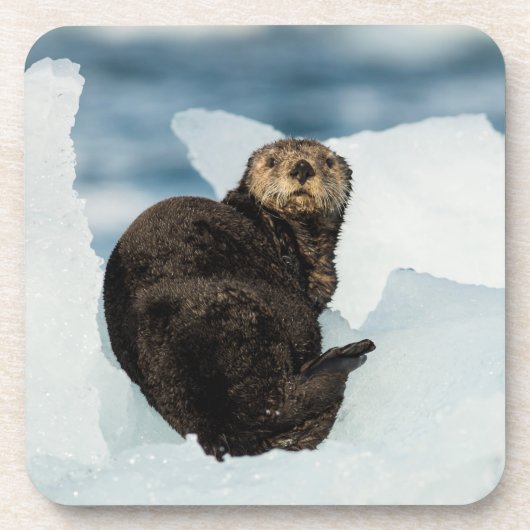 安静海船 コースター (正面)